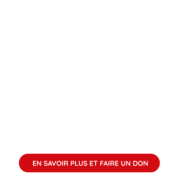 CITOYENNETE MONDIALE