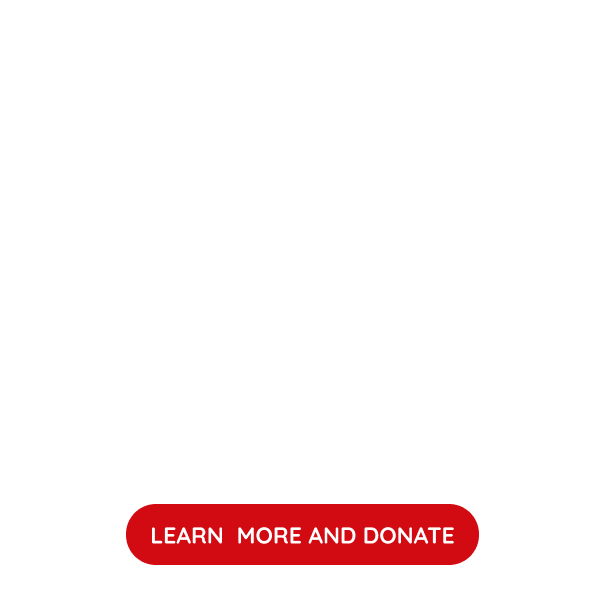 EARLY CHILDHOOD