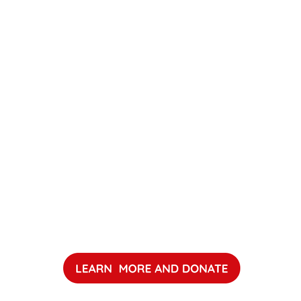 EDUCATIONAL INCLUSION