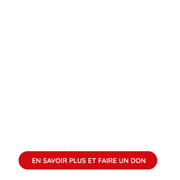 FORMATION PROFESSIONNELLE