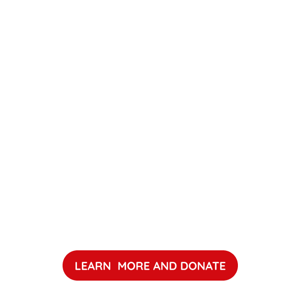 GENDER EQUALITY