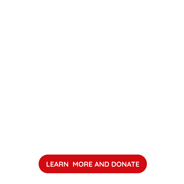 GLOBAL CITIZENSHIP