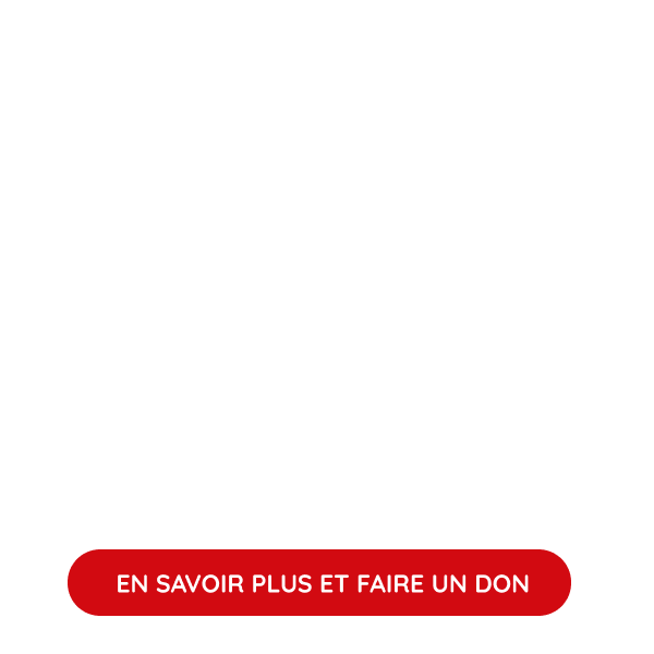 INCLUSION EDUCATIVE